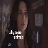 STAGE TUBE: Lauren Graham's Back on the Small Screen in PARENTHOOD